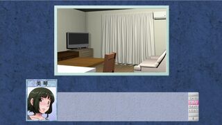 A certain couple's repayment plan 9