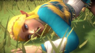 Zelda : betrayal and last escort