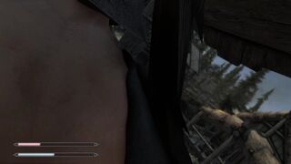 SkyFurry and Male Human Anal