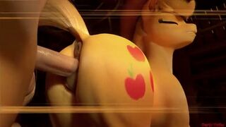 Mlp Compilation Pov