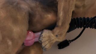 Sick Dog Porn For Creeps