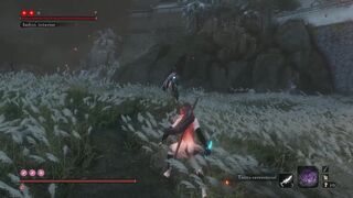 Sekiro Shadow Die Twice: Nude Tifa Playthrough – isshin ashina Fight